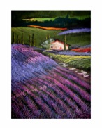 Lavender Field